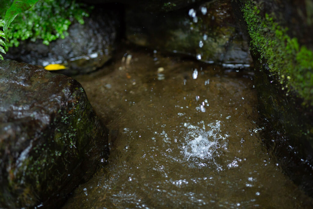 頭之水(知恵の水)の話